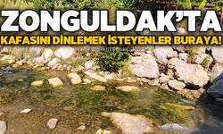 Çaycuma'daki keşfedilmemiş Çayır Mağarası doğasıyla huzur veriyor