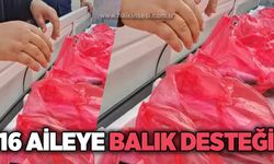 16 aileye balık desteği