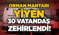 Orman mantarı yiyen 30 vatandaş zehirlendi