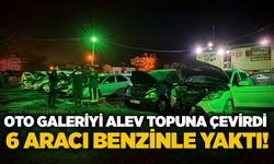 Oto galeriyi alev topuna çevirdi: 6 aracı benzinle yaktI!