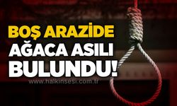 Boş arazide ağaca asılı bulundu!