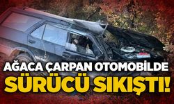 Ağaca çarpan otomobilde sürücü sıkıştı!