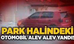 Park halindeki otomobil alev alev yandı!