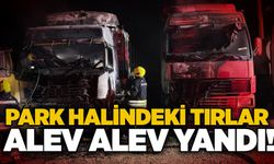 Park halindeki tırlar alev alev yandı!