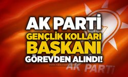 AK Parti Gençlik Kolları Başkanı görevden alındı!