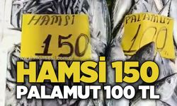 Hamsi 150, Palamut 100 TL
