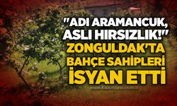 "Adı Aramancuk, aslı hırsızlık!": Zonguldak'ta bahçe sahipleri isyan etti
