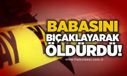 Babasını bıçaklayarak öldürdü!