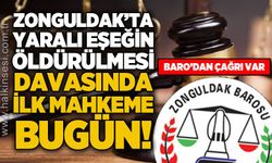 Zonguldak'ta yaralı eşeğin öldürülmesi davasında ilk duruşma bugün