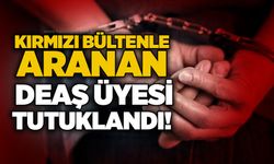 Kırmızı bültenle aranan DEAŞ üyesi tutuklandı!