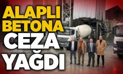 Alaplı Beton'a ceza yağdı
