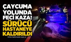 Çaycuma yolunda trafik kazası: Yola çıkan hayvan kazaya neden oldu!