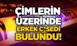 Çimlerin üzerinde erkek c*sedi bulundu!