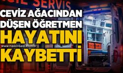 Ceviz ağacından düşen öğretmen hayatını kaybetti