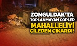 Zonguldak’ta toplanmayan çöpler mahalleliyi çileden çıkardı!
