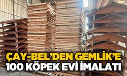Çaycuma Belediyesi'nden Gemlik'e 100 köpek evi