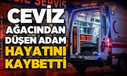 Ceviz ağacından düşen 72 yaşındaki adam hayatını kaybetti