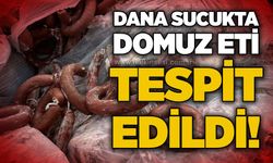 Dana sucukta domuz eti tespit edildi!