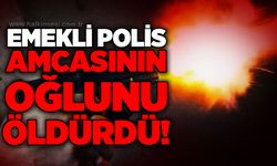 Emekli polis amcasının oğlunu öldürdü!