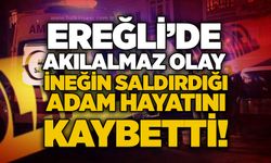 Ereğli’de akılalmaz olay: İneğin saldırdığı adam hayatını kaybetti!