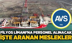 Filyos Limanı'na personel alınacak: İşte aranan meslekler