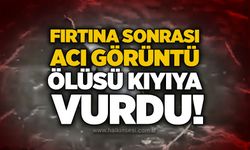 Fırtına sonrası acı görüntü: Ölüsü kıyıya vurdu!