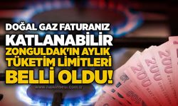 Doğal gaz faturanız katlanabilir: Zonguldak'ın aylık tüketim limitleri belli oldu!