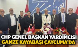 CHP Genel Başkan Yardımcısı Gamze Kayabaşı Çaycuma’da