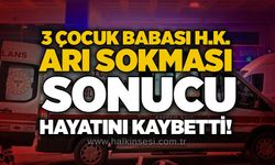 3 çocuk babası H.K. arı sokması sonucu hayatını kaybetti!