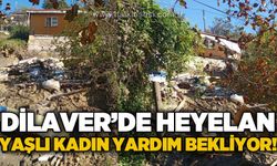 Dilaver Mahallesi'nde yaşlı kadın yardım bekliyor!