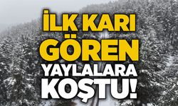 İlk karı gören yaylalara koştu!