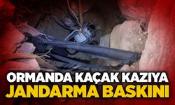 Ormanda kaçak kazıya jandarma baskını!