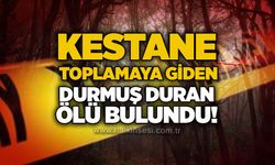 Kestane toplamaya giden Durmuş Duran ölü bulundu!