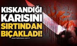 Kıskandığı karısını bıçakladı!