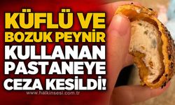 Küflü ve bozuk peynir kullanan pastaneye ceza kesildi!