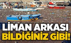 Liman arkası bildiğiniz gibi!