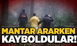 Mantar ararken kayboldular!