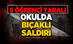 Eski okuluna gelen kız öğrenci 6 öğrenciyi bıçakladı