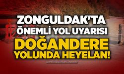 Zonguldak'ta önemli yol uyarısı: Doğandere yolunda heyelan!
