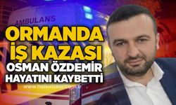 Ormanda iş kazası: Osman Özdemir hayatını kaybetti