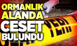 Kayıp vatandaşın ormanlık alanda ces*dine ulaşıldı