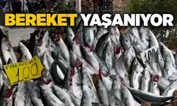 Bereket yaşanıyor