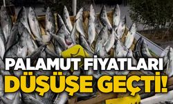 Palamut fiyatları düşüşe geçti!