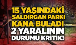 15 yaşındaki saldırgan parkı kana buladı: 2 yaralının durumu kritik!