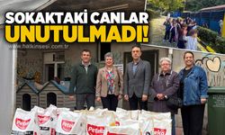 Ereğli Belediyesi’nden 4 Ekim’de anlamlı hayvan sevgisi buluşmaları