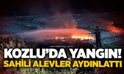 Kozlu’da yangın! Sahili alevler aydınlattı
