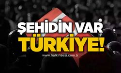 Şehidin var Türkiye: Albay Sayit Gökgöz şehit düştü!