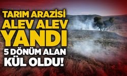 Tarım arazisi alev alev yandı: 5 dönüm alan kül oldu!