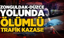 Zonguldak - Düzce yolunda ölümlü trafik kazası!