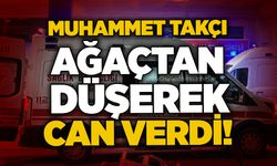 Muhammet Takçı ağaçtan düşerek can verdi!